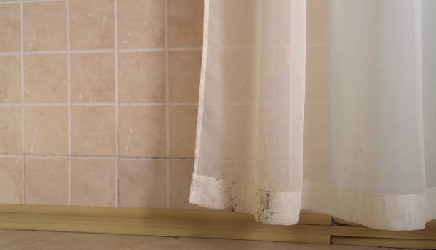 Best Mold-Related Health Consultation  in Edmore, MI