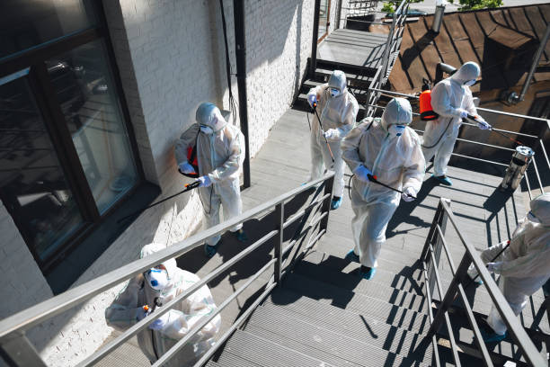 Best Emergency Mold Remediation  in Edmore, MI
