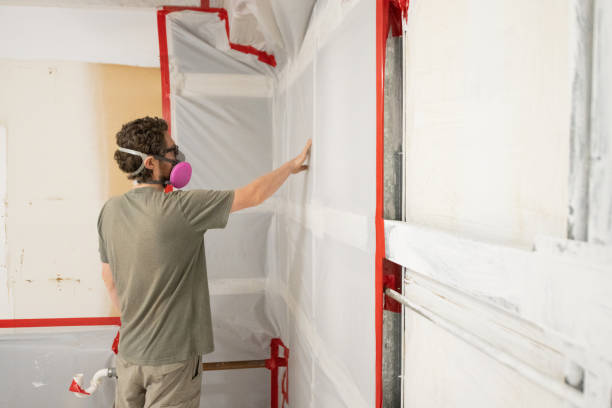 Best Dehumidification Services  in Edmore, MI