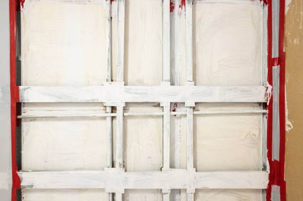 Best Mold Damage Restoration  in Edmore, MI