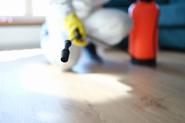 Best Asbestos and Lead Testing During Mold Inspection  in Edmore, MI